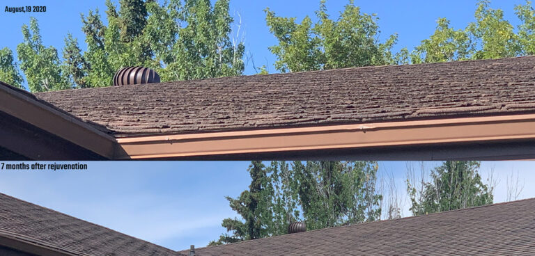 roof rejuvenation 6