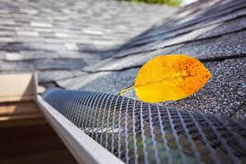 images (11)